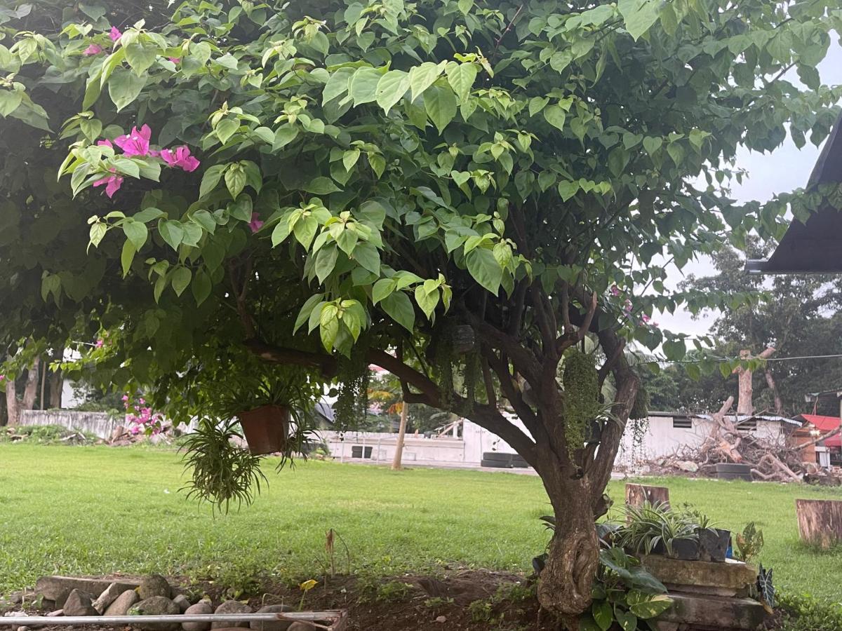 Summer Room B Dumaguete City Luaran gambar